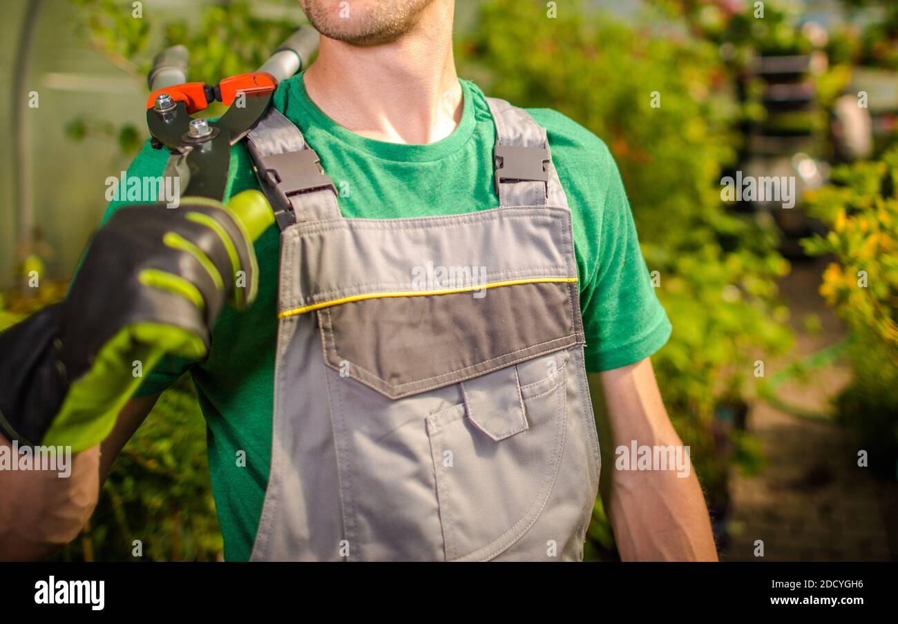 Giardiniere caucasico nei suoi 30 tenendo grandi forbici sulla spalla. Interni a serra. Tema industria del giardinaggio e del paesaggio. Foto Stock