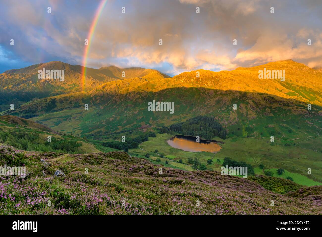 Incredibile doppio arcobaleno sulla valle di Cumbrian con spettacolari nuvole e luce del mattino presto. Foto Stock