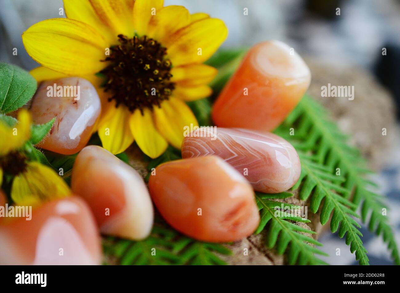 Carnelian tumled. Pietre di Carnelia di qualità superiore. Reiki di cristallo healing potente. Qualità superiore, splendida Carnelian a fasce. Colori lussureggianti, naturali Foto Stock