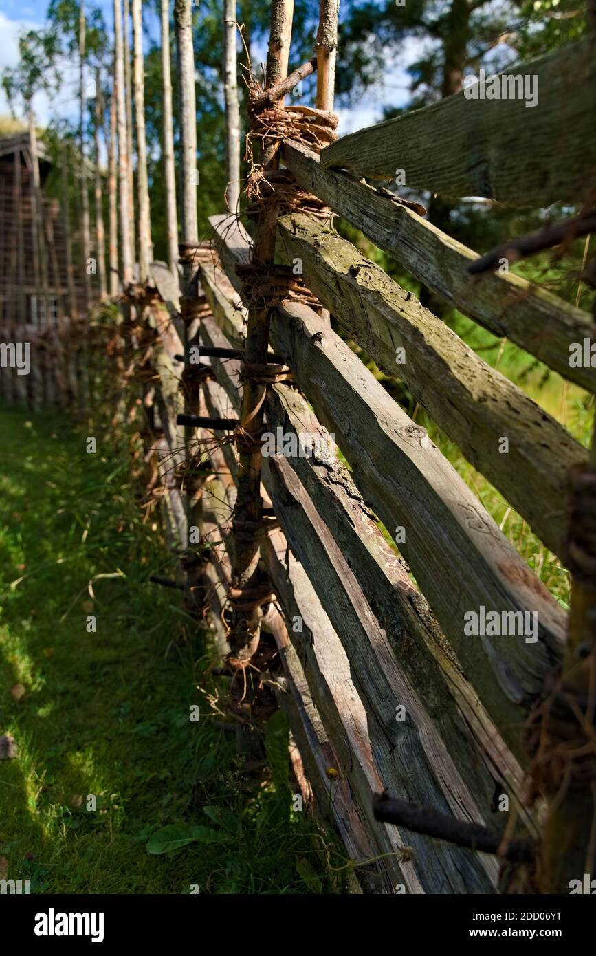 Recinzione medievale del palo del salice usato in agricoltura. Primo piano. Foto Stock