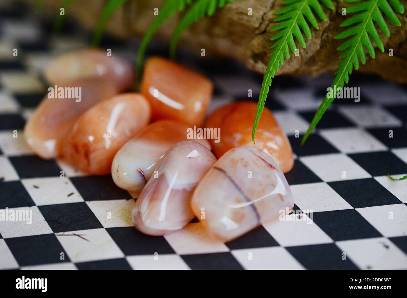 Carnelian tumled. Pietre di Carnelia di qualità superiore. Reiki di cristallo healing potente. Qualità superiore, splendida Carnelian a fasce. Colori lussureggianti, naturali Foto Stock