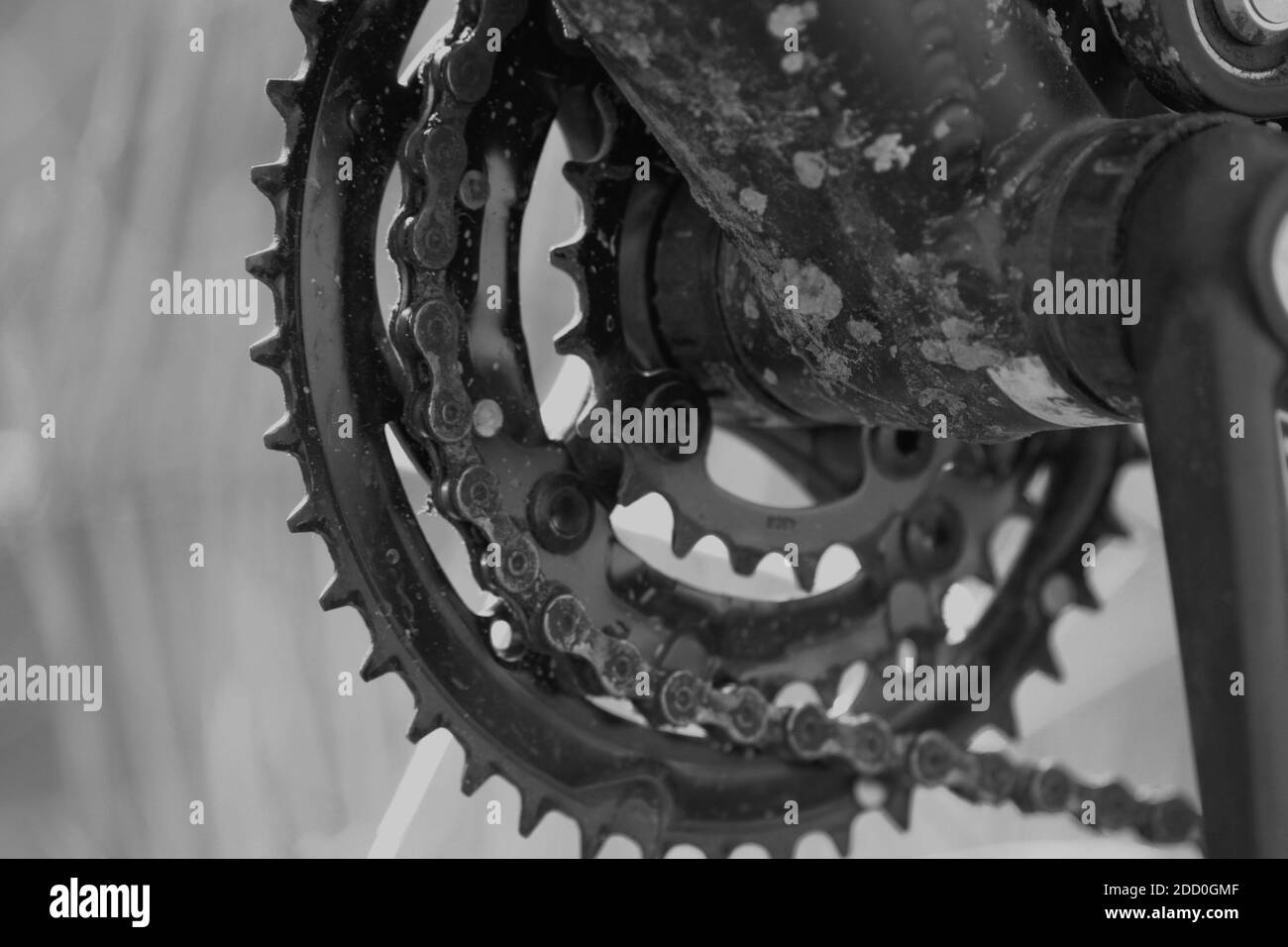 Un primo piano in scala di grigi di una catena di mountain bike Foto Stock