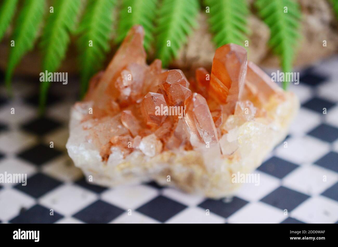 Bel grappolo di quarzo, quarzo mandarino. Cristallo di guarigione arancione in esposizione, vibrazioni bohémien, stregoneria minimalistica. Piccolo gruppo di cristalli, naturale l Foto Stock