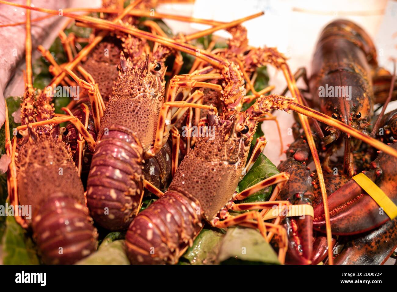 Pesce fresco Shrimps Seafood on Ice in Fish Market primo piano Foto Stock