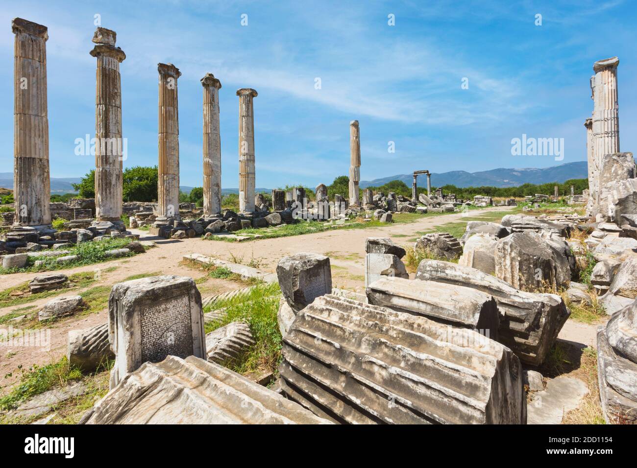 Rovine di Afrodisia, provincia di Aydin, Turchia. Rovine del Tempio di Afrodite. Aphrodisias, che è un sito patrimonio dell'umanità dell'UNESCO, è stato dedicato Foto Stock