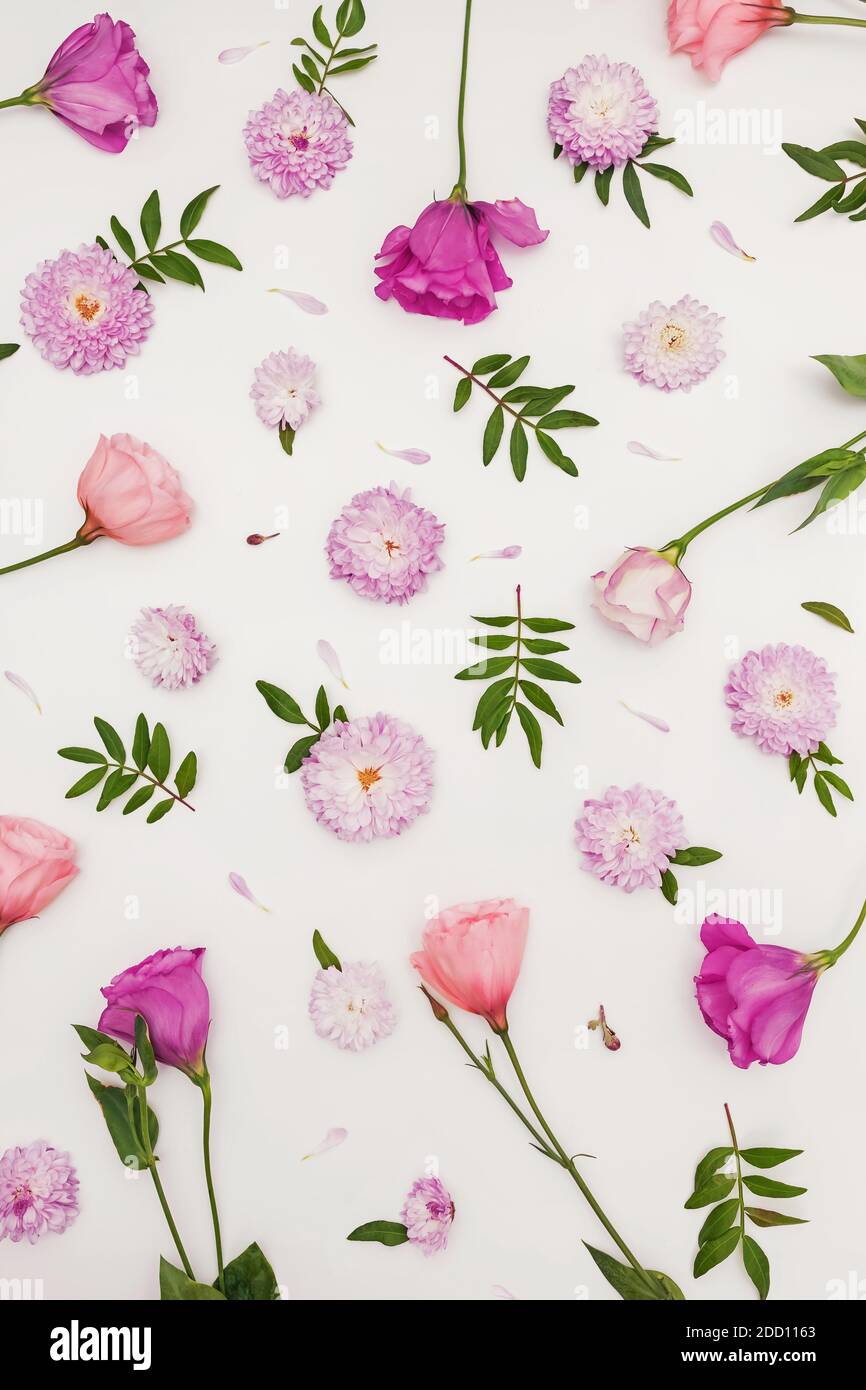 Composizione creativa piatta con fiori, foglie e petali. Foto Stock