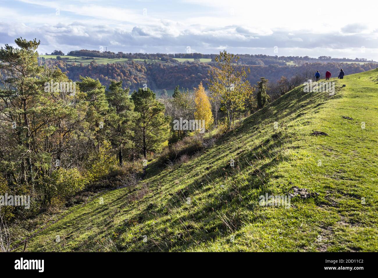 Alcuni dei bastioni dell'età del ferro di Uley Bury una grande collina multivallate su uno sperone della scarpata del Cotswold a Uley, Gloucestershire UK Foto Stock