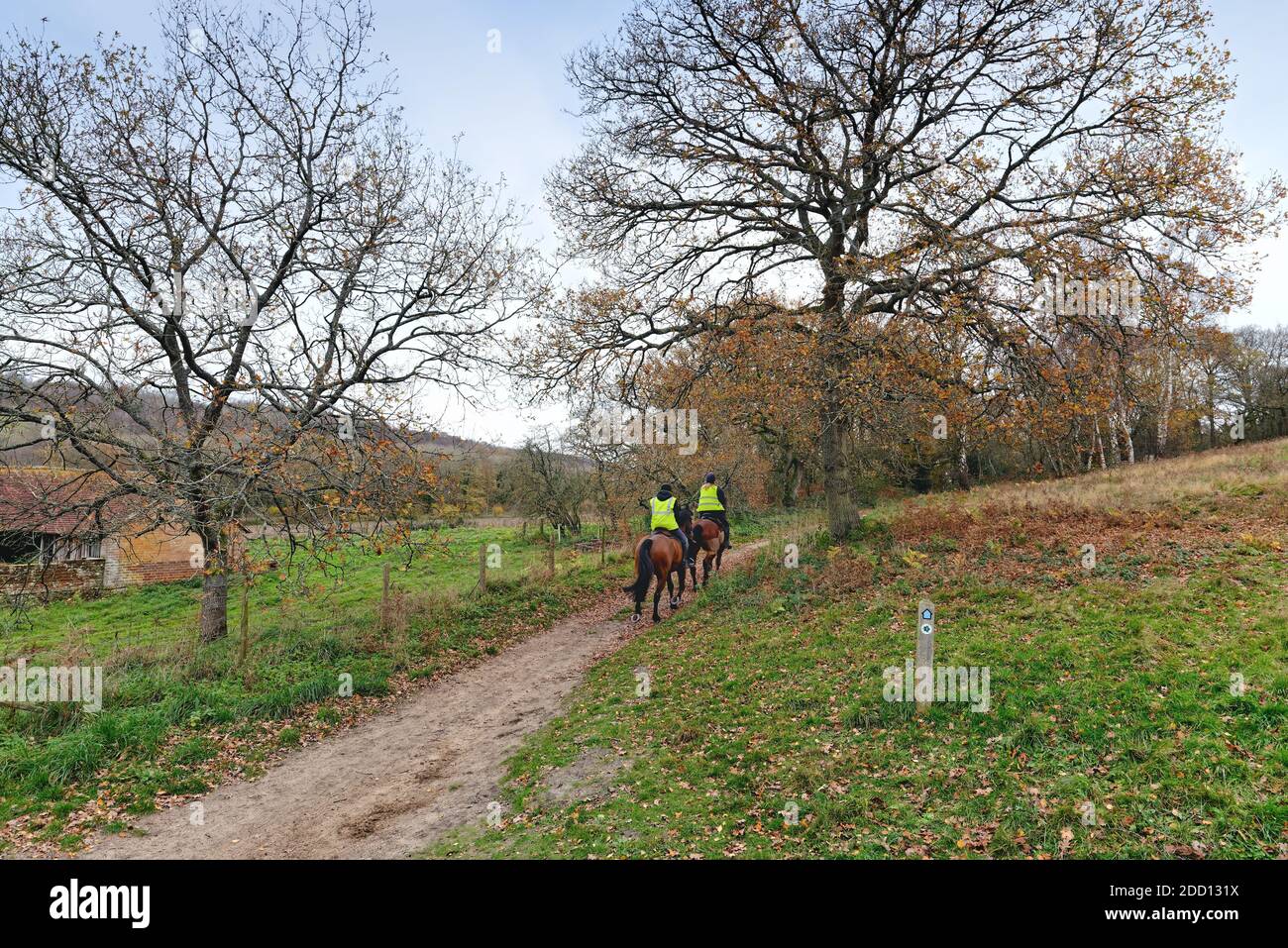 Due cavalieri che cavalcano i boschi in Abinger Roughs on The North Downs Surrey Hills Inghilterra Regno Unito Foto Stock
