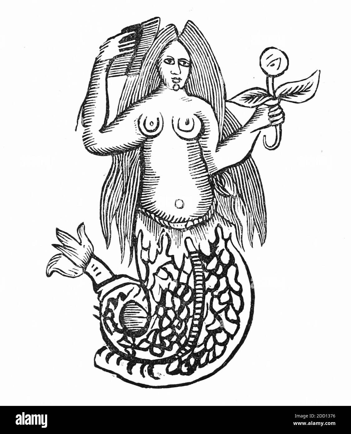 MERMAID woodcut da un libro di 1741 cappelle Foto Stock