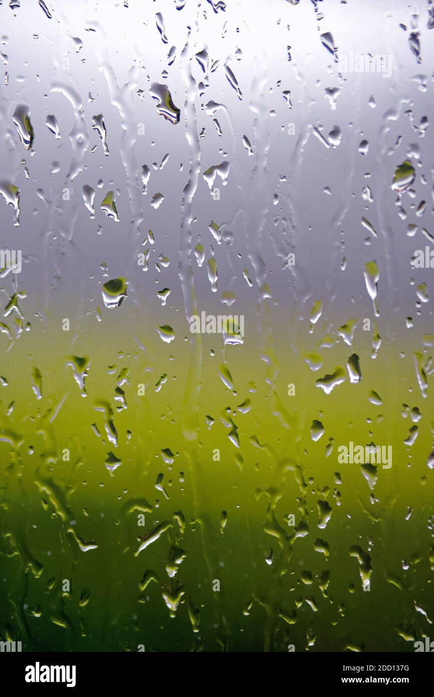 Primo piano di gocce di pioggia sulla finestra contro un grigio tenue sfondo verde Foto Stock