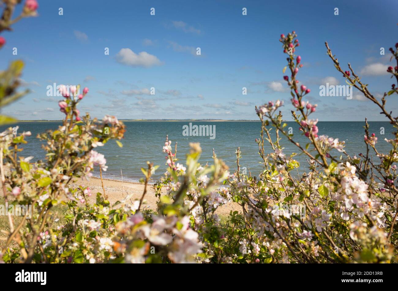 Vista dall'altra parte dell'Isola di Sheppey dalla spiaggia Sealter in Kent Inghilterra UK Foto Stock