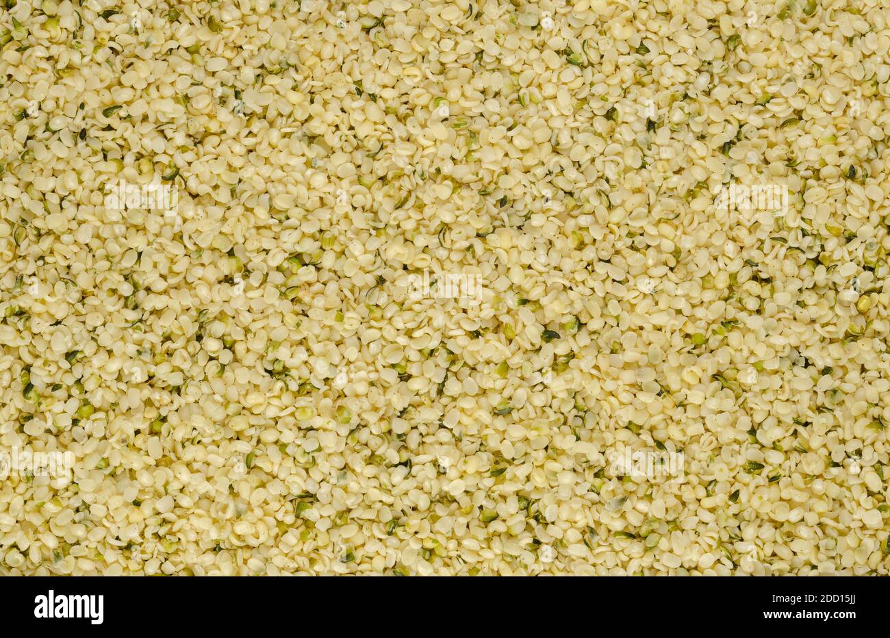Semi di canapa sbucciata. Superficie e sfondo di semi di empio grezzi e commestibili. Cannabis sativa, ad alto contenuto proteico e una grande fonte di ferro. Foto Stock