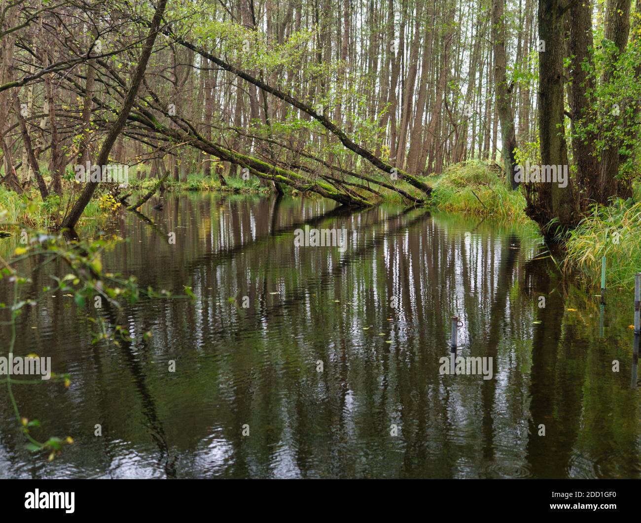 Bellissimo paesaggio in vacanza a Meclemburgo-Pomerania occidentale Germania Europa Foto Stock