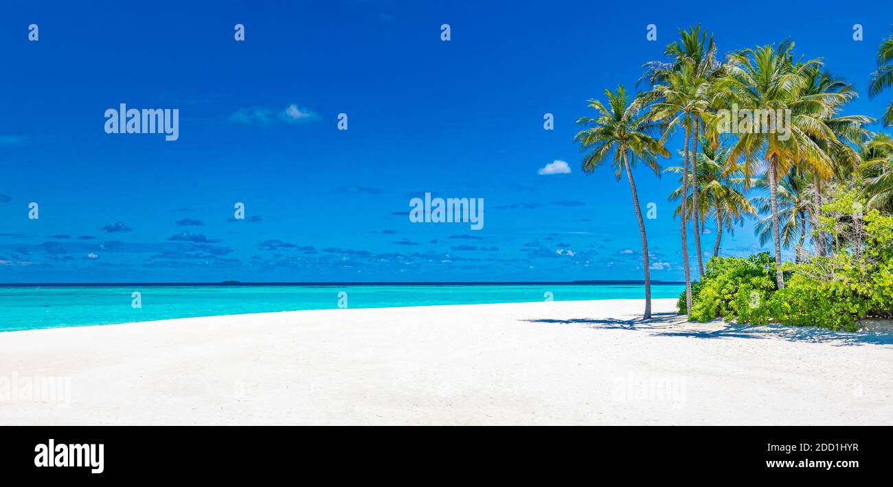 Incredibile paesaggio di viaggio, spiaggia tropicale scena, mare blu mozzafiato, palme, sabbia bianca. Esotico viaggio di lusso destinazione di vacanza, relax vista. Foto Stock