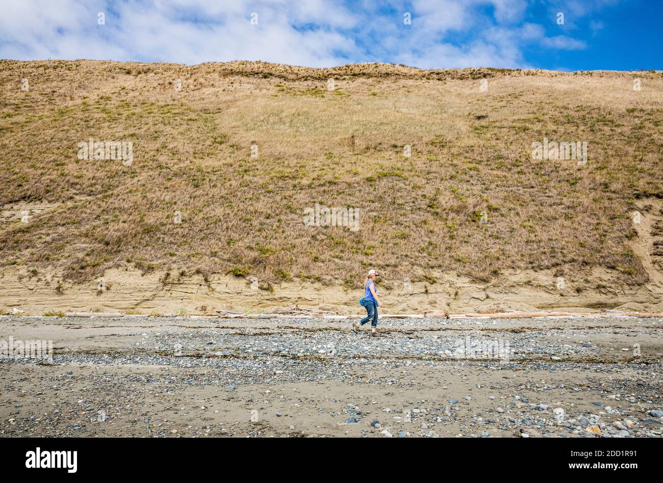 Una donna che cammina lungo Ebey's Landing BeachTrail sotto le scogliere, Whidbey Island, Washington, USA. Foto Stock