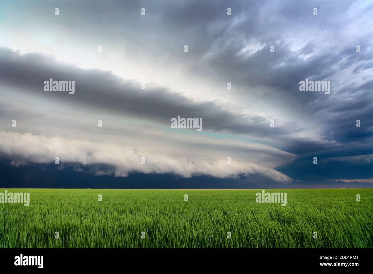 La tempesta di Supercell nuvola su un campo vicino Ulysses, Kansas Foto Stock