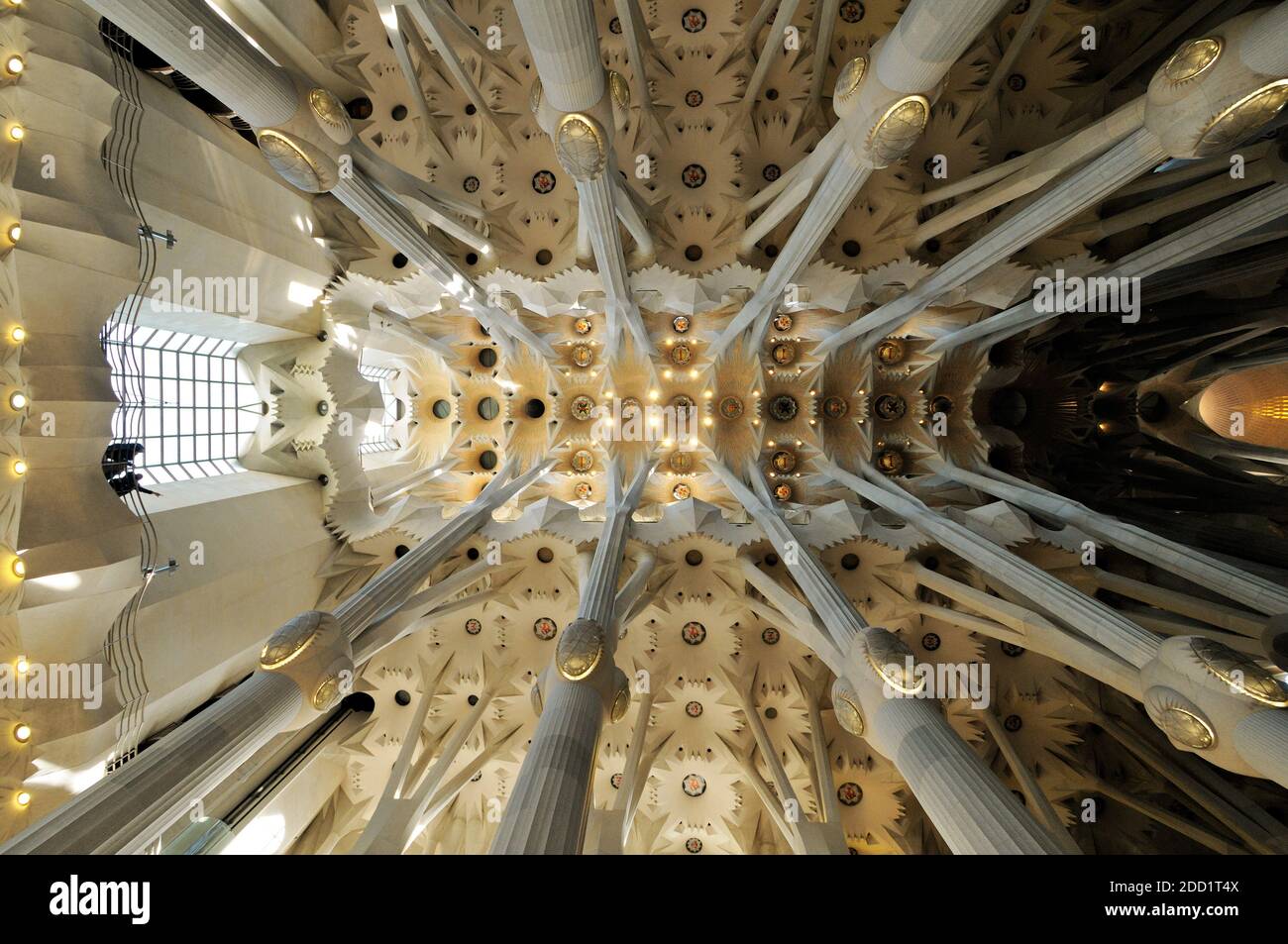 Colonne e soffitto della navata centrale della Sagrada Família, Barcellona, Catalogna, Spagna Foto Stock