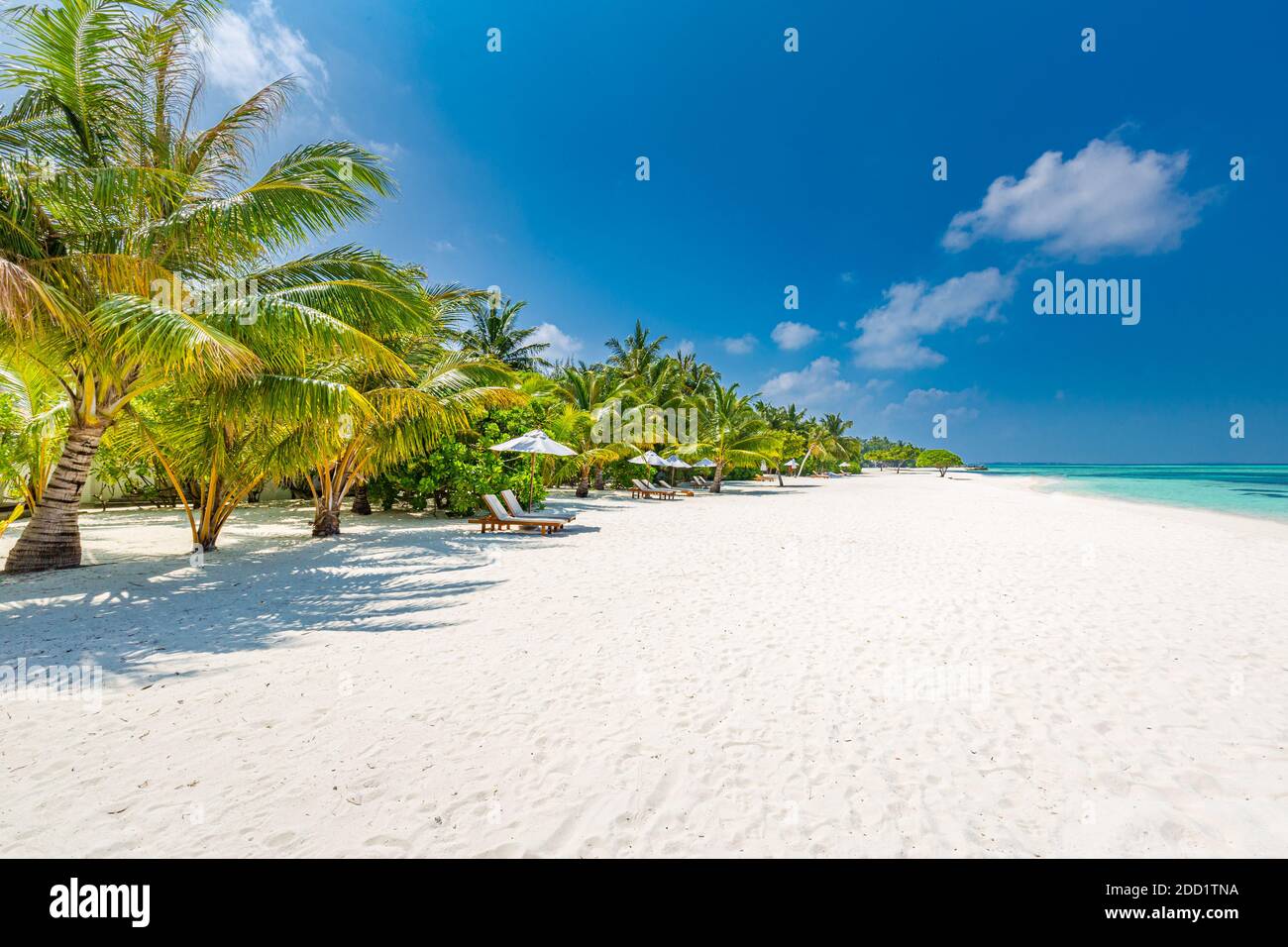 Sedie da spiaggia con ombrellone all'isola delle Maldive, spiaggia di sabbia bianca e mare. Perfetto paesaggio isolano tropicale natura resort costa. Vacanze estive Foto Stock