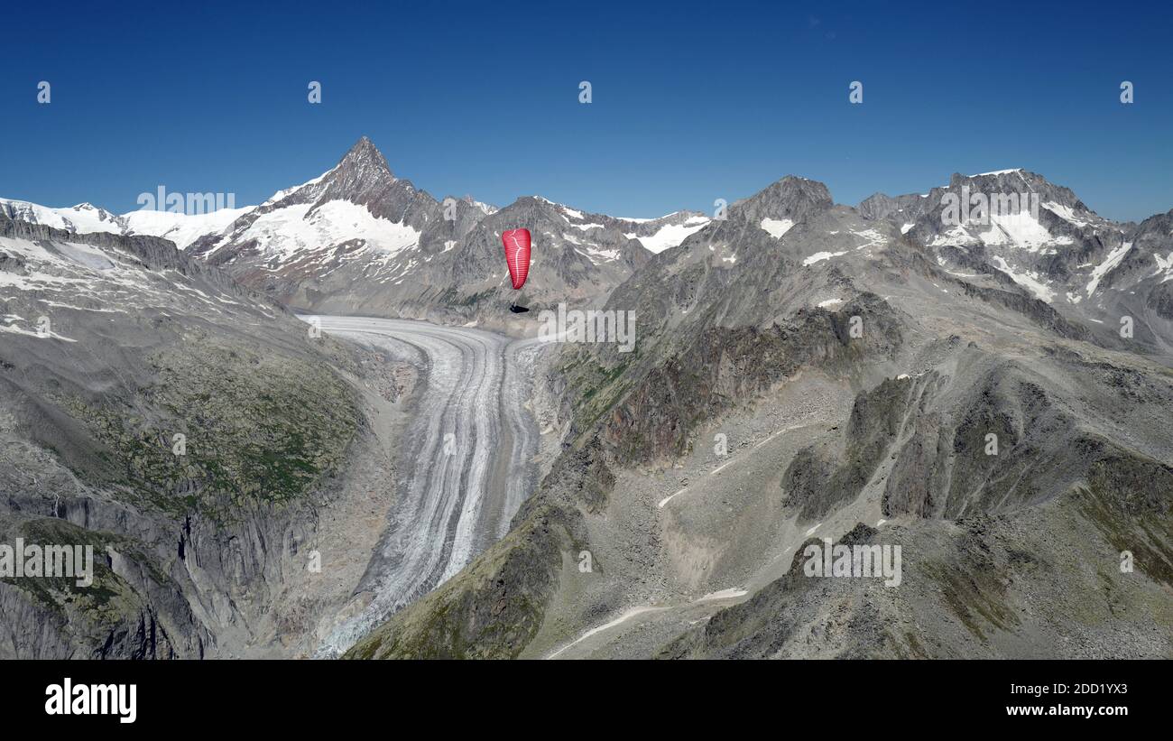 Il pilota del parapendio vola un'ala bianca e rossa sopra il ghiacciaio Fiesch con il Finsteraarrothorn sullo sfondo. Svizzera. Foto Stock