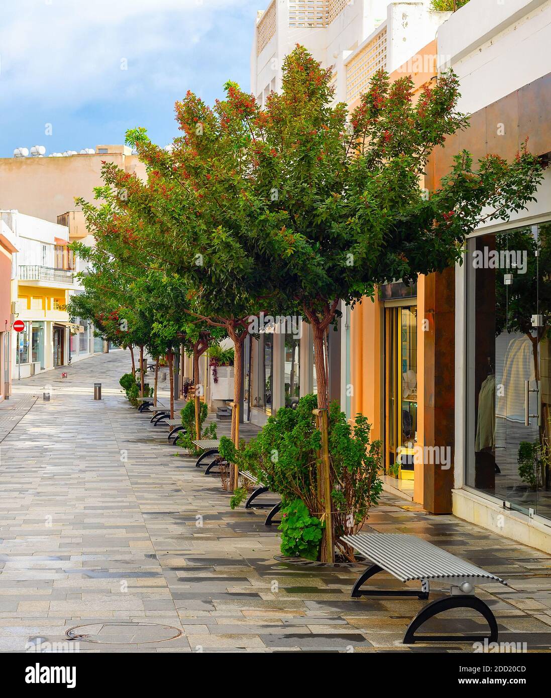 Via dello shopping nel centro di quartiere turistico di Paphos con verdi alberi, Cipro Foto Stock