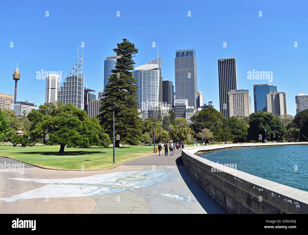 Un gruppo di amici cammina nel Giardino Botanico reale. I grattacieli e il Sydney Tower Eye sono dietro. Sydney, nuovo Galles del Sud, Australia. Foto Stock