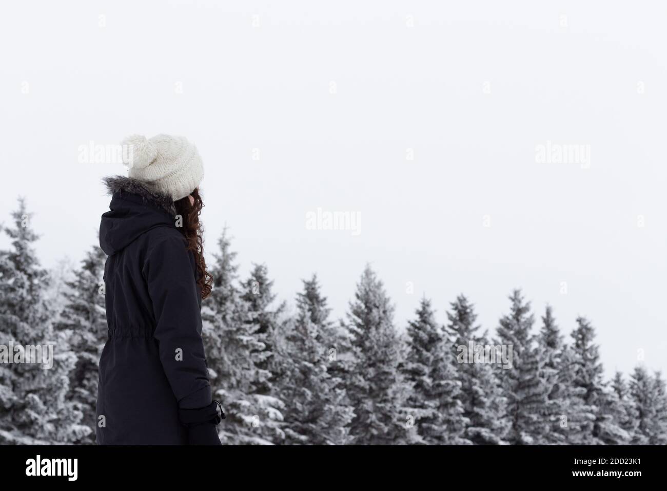Teen girl, giovane donna, guardando il paesaggio invernale fuori, gelo e alberi innevati, faccia non visto MR immagini di persone con un sacco di spazio di copia Foto Stock