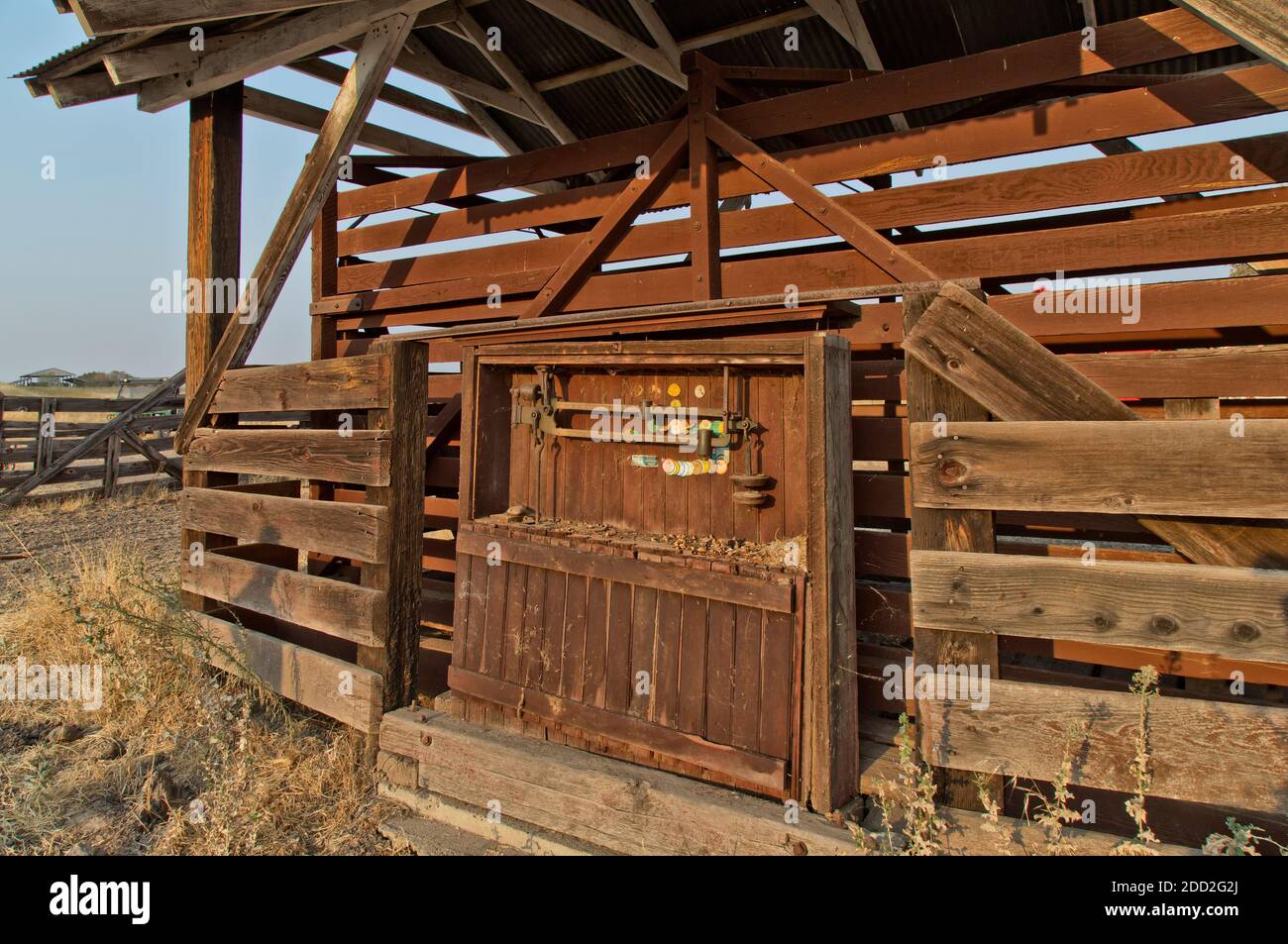 Bestiame antiquato "in terra" Scalehouse in rovina, certificazione Weights & Measures Seals 1959 - 2001. Attrezzature agricole storiche abbandonate. Foto Stock