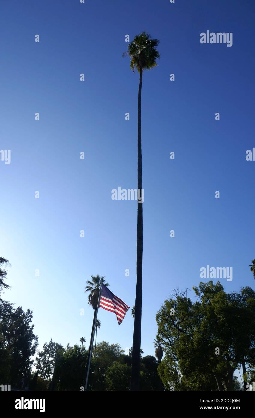 Glendale, California, USA 18 novembre 2020 UNA vista generale dell'atmosfera del Grand View Memorial Park il 18 novembre 2020 a 1341 Glenwood Road a Glendale, California, USA. Foto di Barry King/Alamy Stock foto Foto Stock