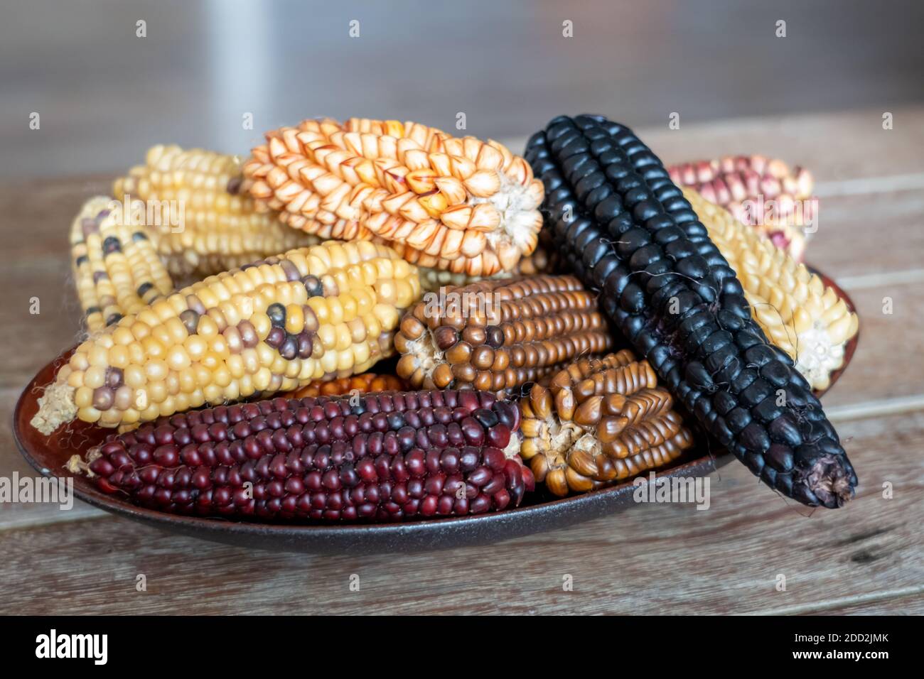Il Sud America ha più di 55 varietà di mais Foto Stock