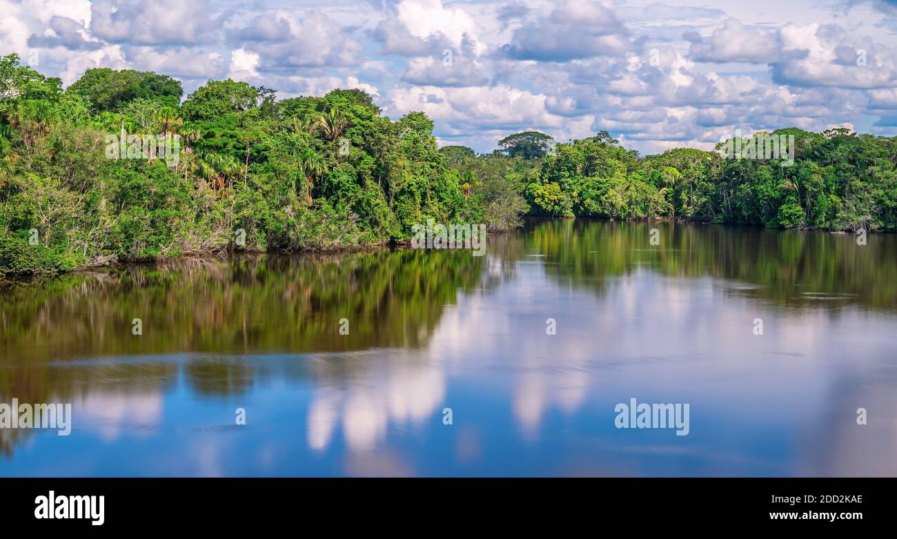 Panorama aereo a lunga esposizione della foresta pluviale amazzonica, parco nazionale di Yasuni, Ecuador. Foto Stock