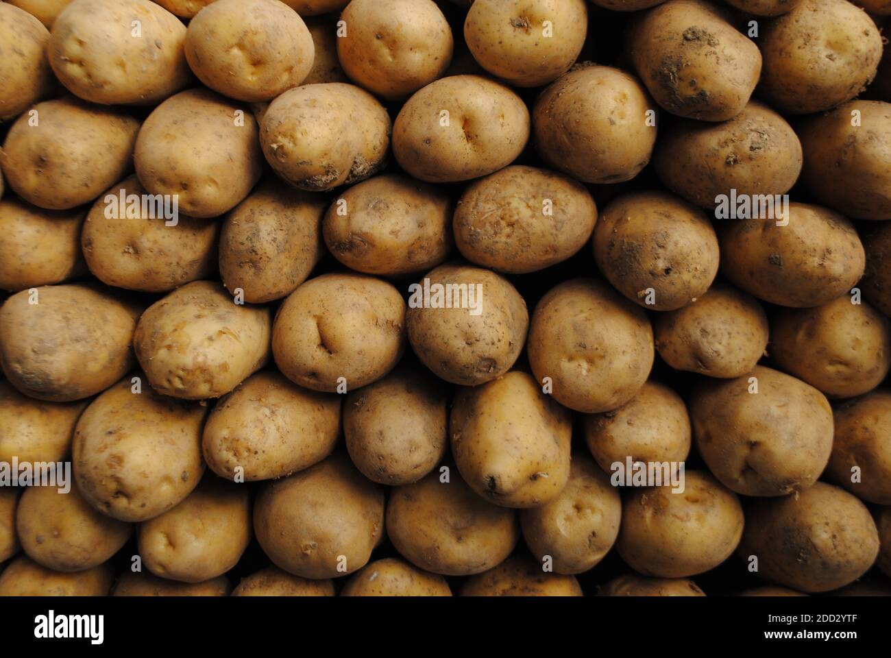 Patate vendute nel corridoio della drogheria del mercato. Foto Stock