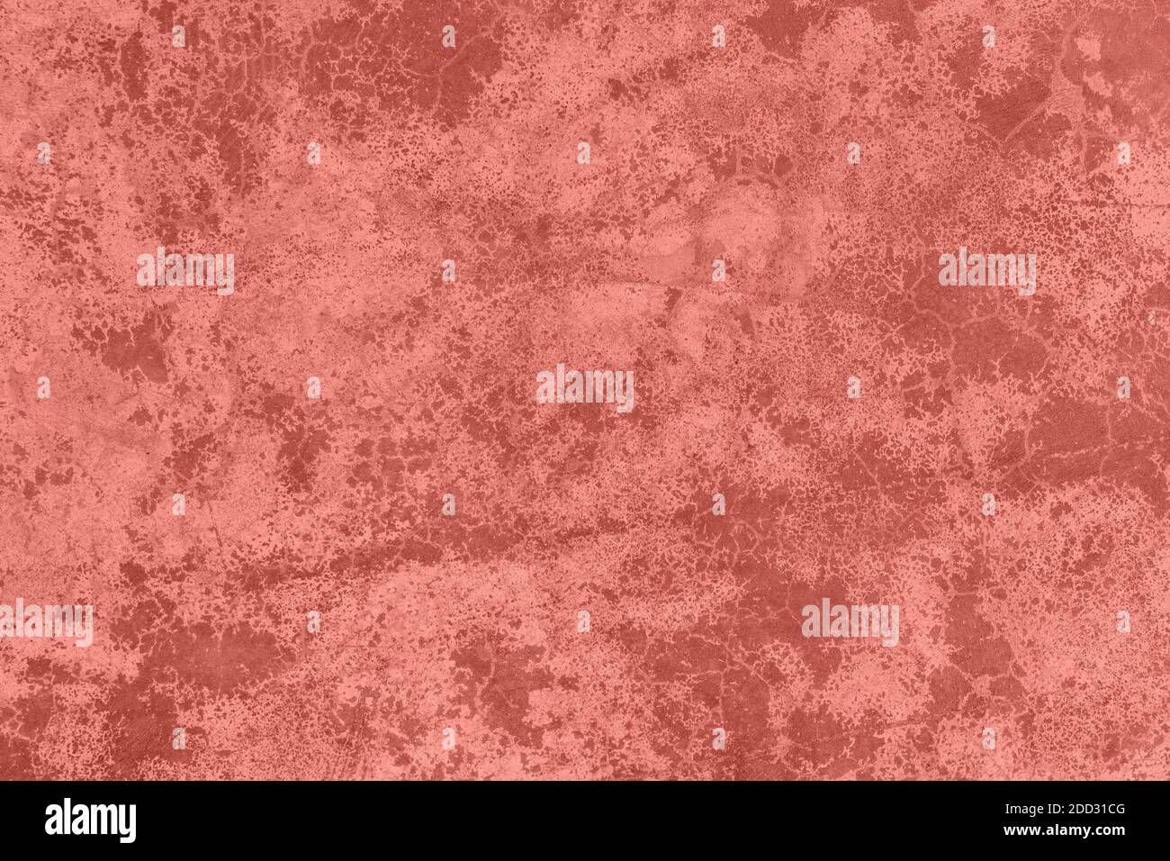Corallo rosa a basso contrasto con fondo testurizzato in cemento Foto Stock