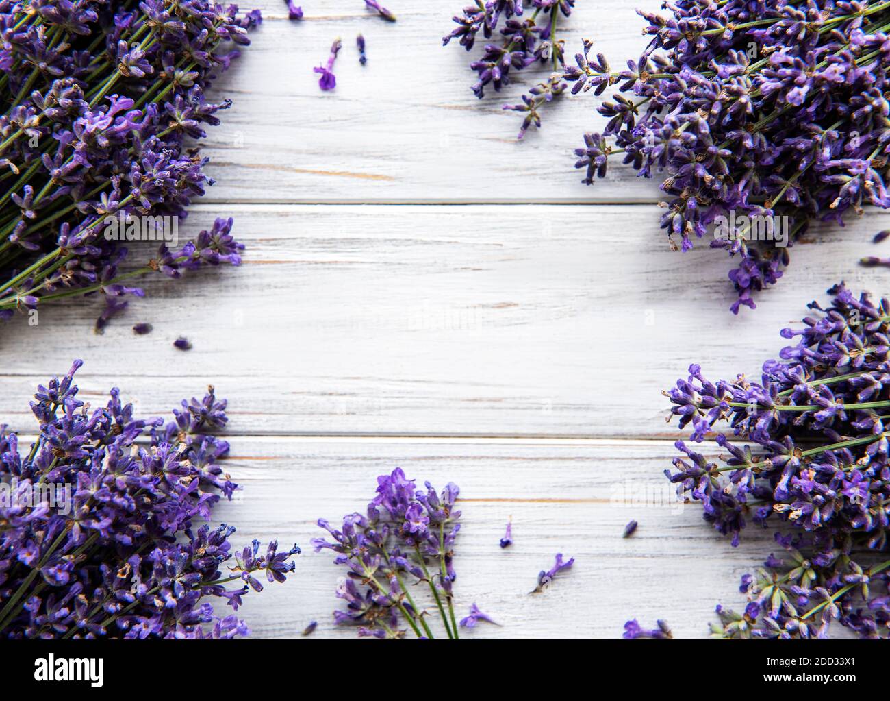 Lavanda viola su legno bianco shabby chic sfondo immagini e fotografie stock  ad alta risoluzione - Alamy