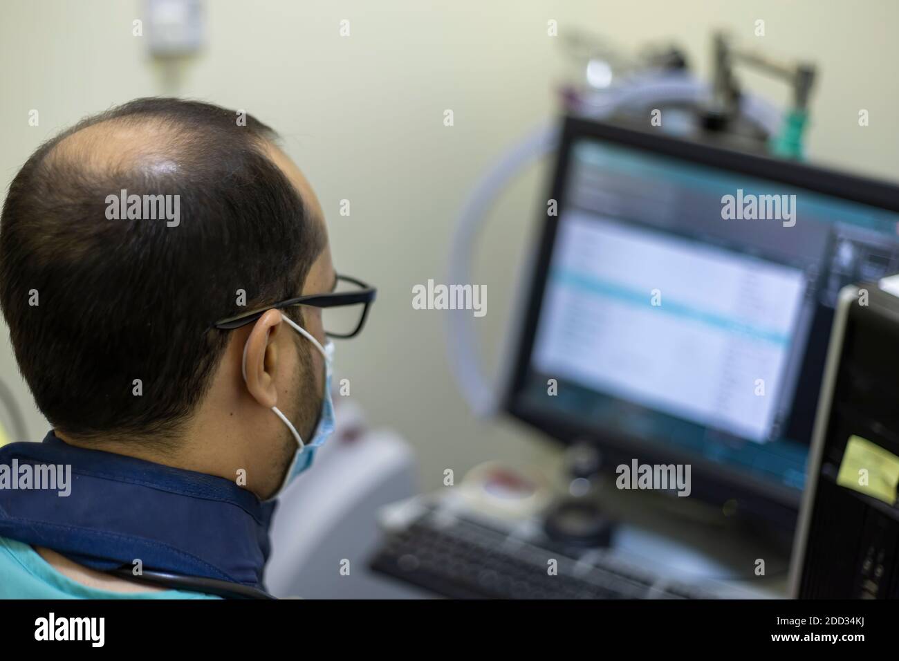 Un veterinario esamina i raggi X animali recentemente presi Foto Stock