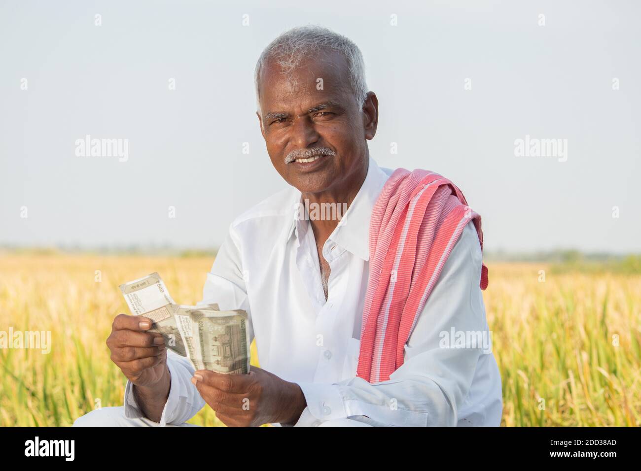 Felice sorridente agricoltore indiano contando i soldi sul campo agricolo mentre osserva la macchina fotografica - concetto di raccolto buono o paraurti, sussidio agricolo e credito Foto Stock