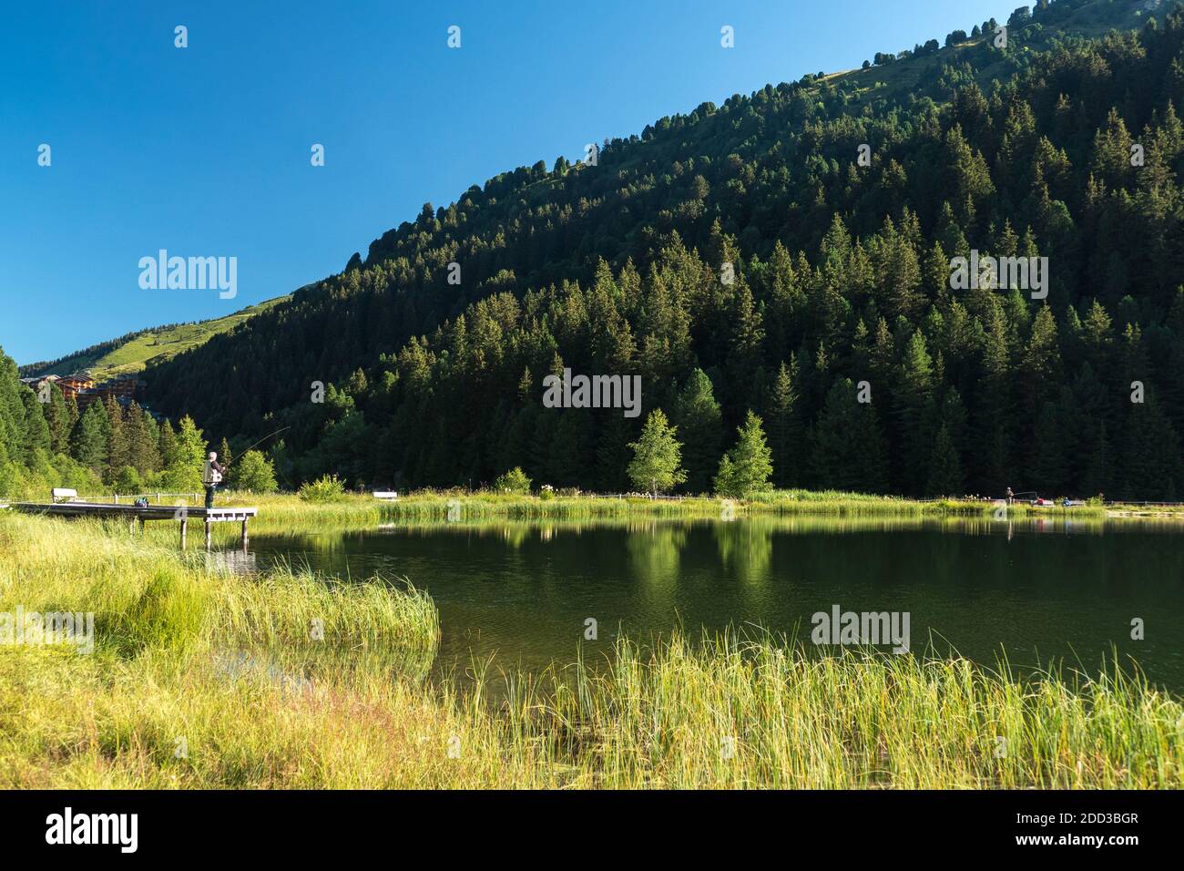 Savoia (Savoia, Alpi francesi): Riserva naturale Tueda. Pescatore con canna e gilet da pesca multi-tasca su un pontile Foto Stock