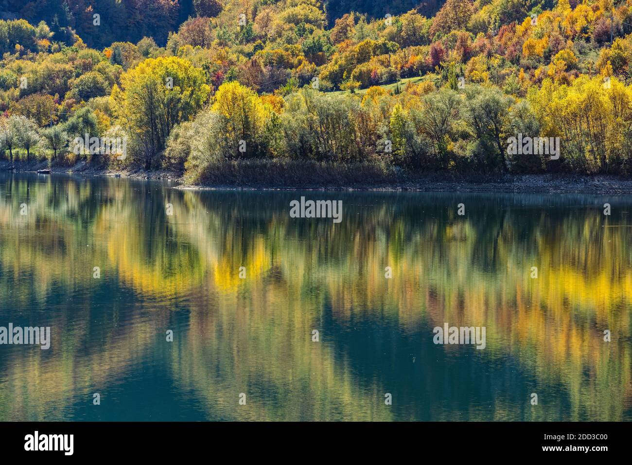 Giallo, verde e rosso; i colori dell'autunno nel Parco Nazionale d'Abruzzo, Lazio e Molise. Abruzzo, Italia, europa Foto Stock