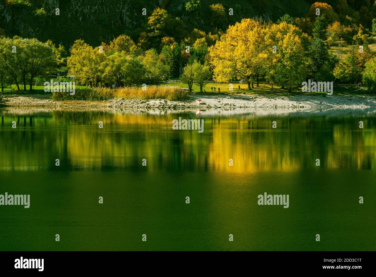 Giallo, verde e rosso; i colori dell'autunno nel Parco Nazionale d'Abruzzo, Lazio e Molise. Abruzzo, Italia, europa Foto Stock