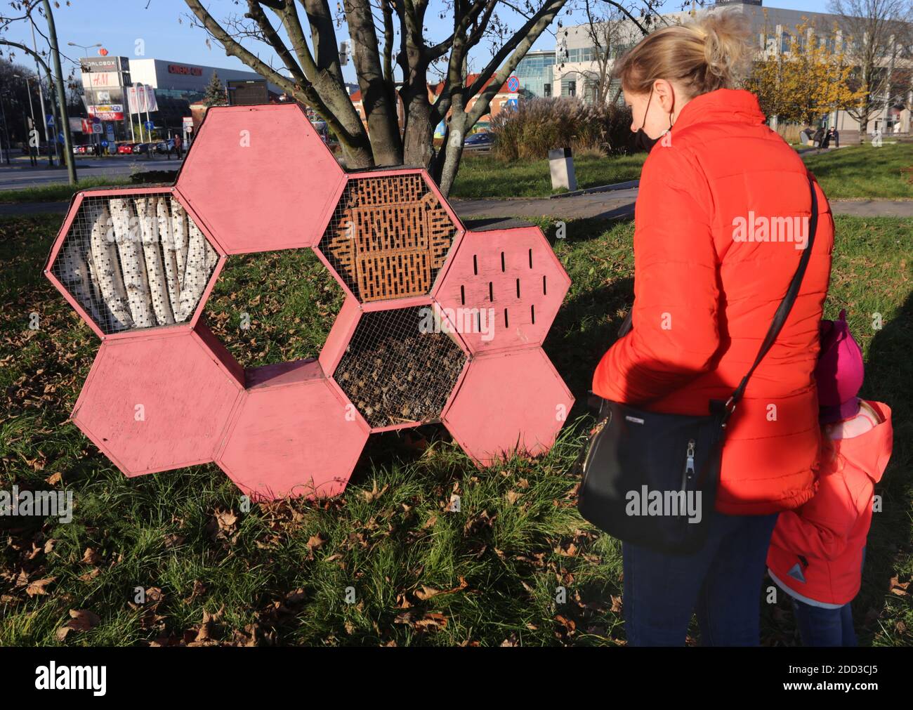Cracovia. Cracovia. Polonia. Insect Hotel nel parco. Foto Stock