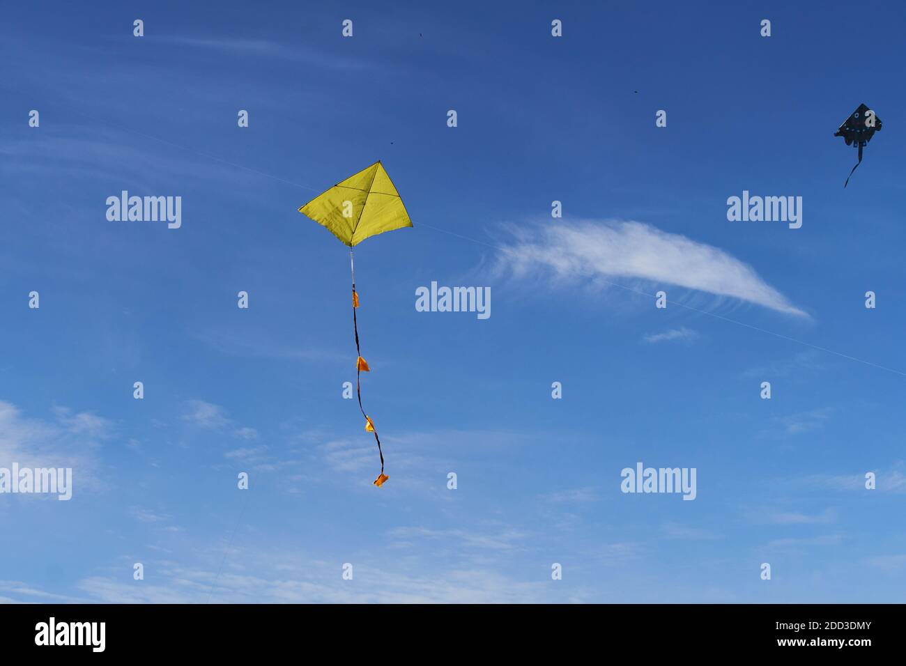 Il Palazzo d'Estate di Pechino sta volando un aquilone Foto Stock