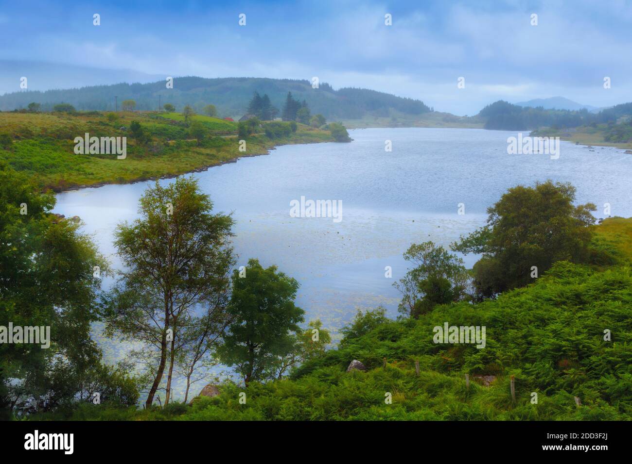 Una giornata soft a Looscaunagh Lough, sul Ring of Kerry, County Kerry, Repubblica d'Irlanda. Eire. Foto Stock