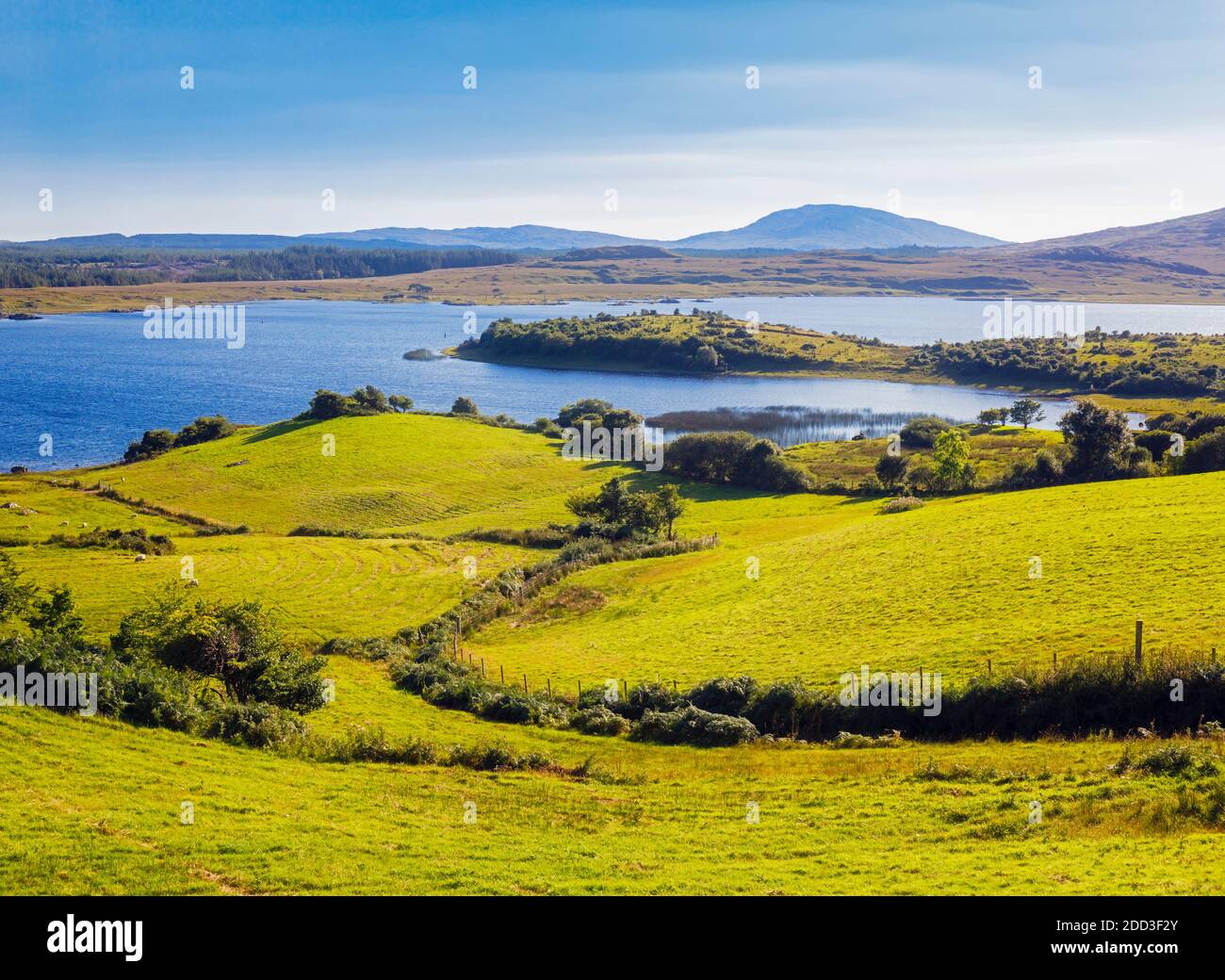 Campagna che scende a Lough Corrib, Connemara, County Galway, Repubblica d'Irlanda. Eire. Lough Corrib è il più grande lago della Repubblica irlandese. Foto Stock