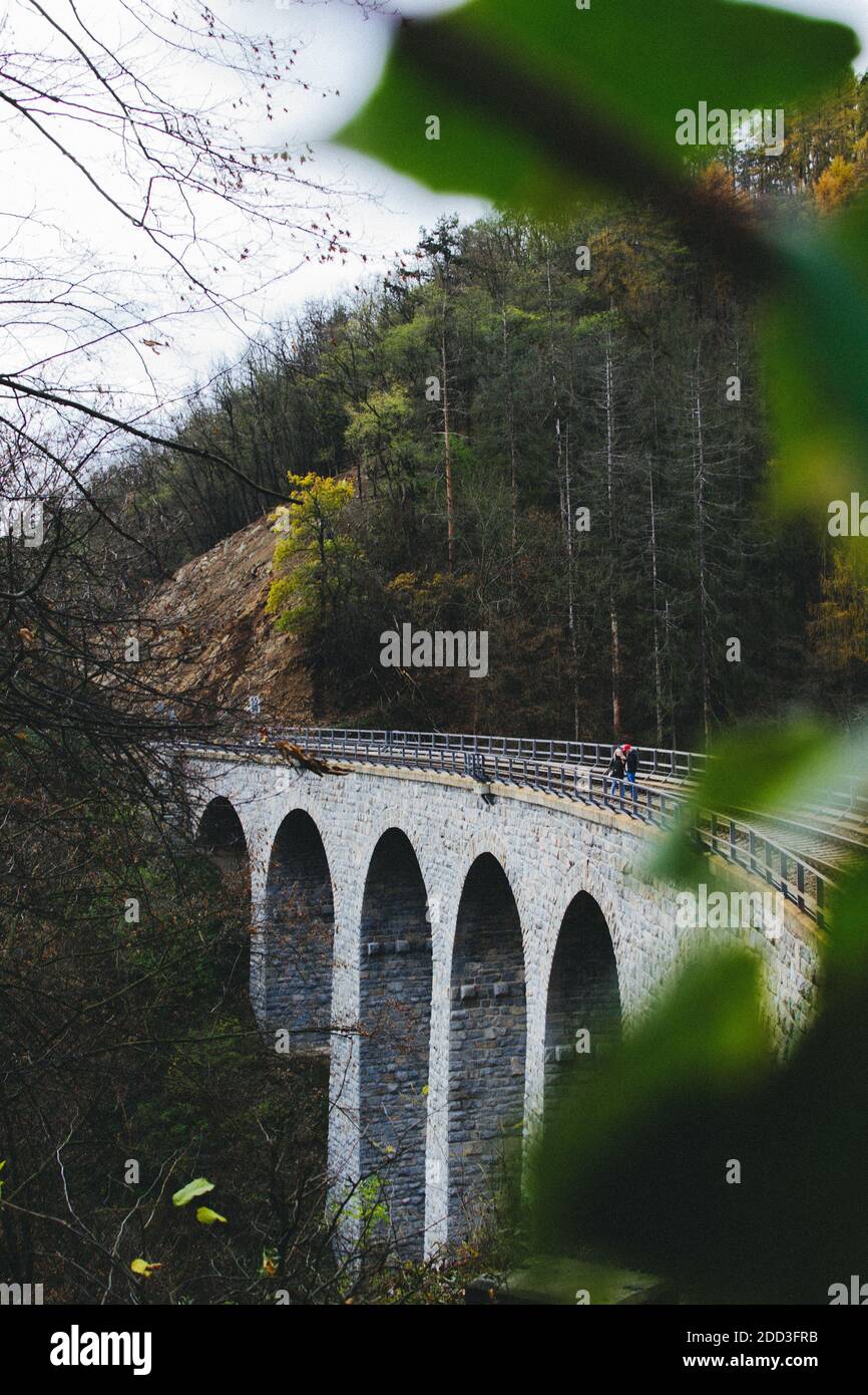 Viadotto vecchio treno Foto Stock