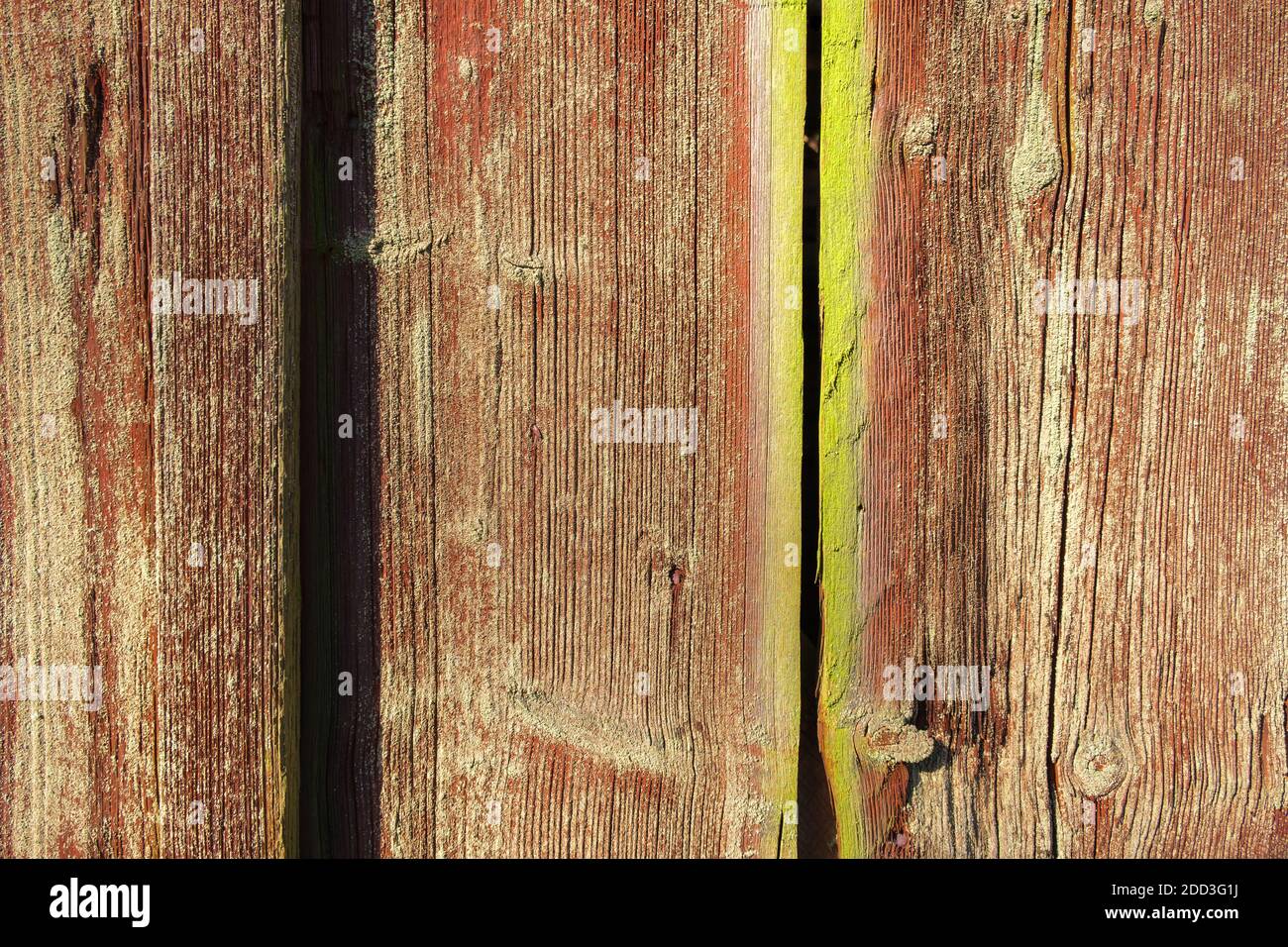 Tavole di legno con muschio verde Foto Stock