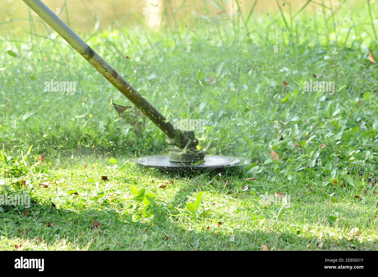 Lame tagliaerba che tagliano erbacce Foto Stock