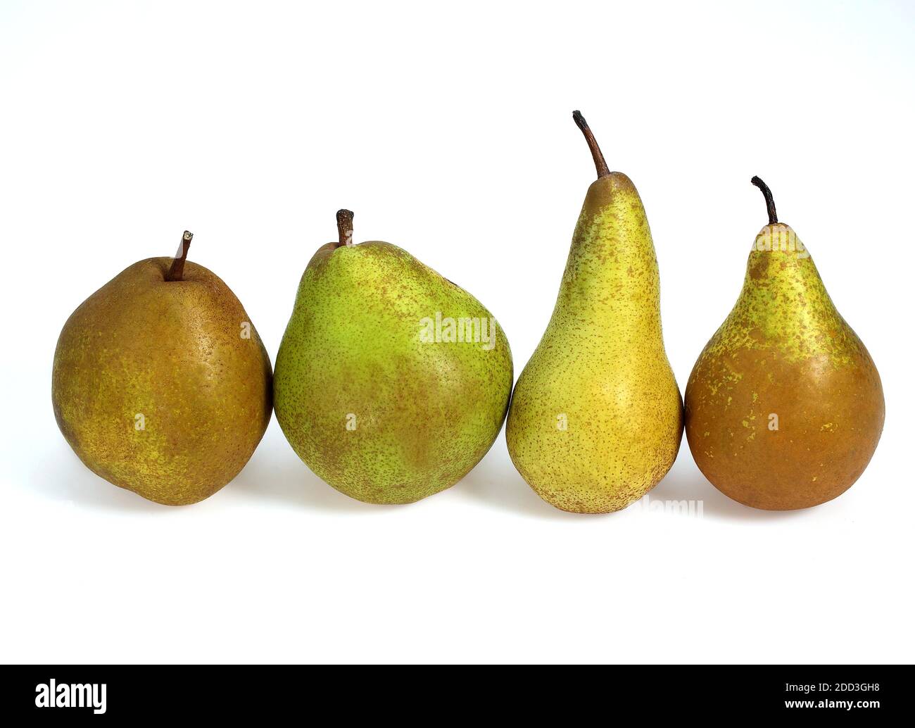 Beurre Hardy, Conferenza Comice et le pere Williams, Pyrus communis, frutti contro uno sfondo bianco Foto Stock