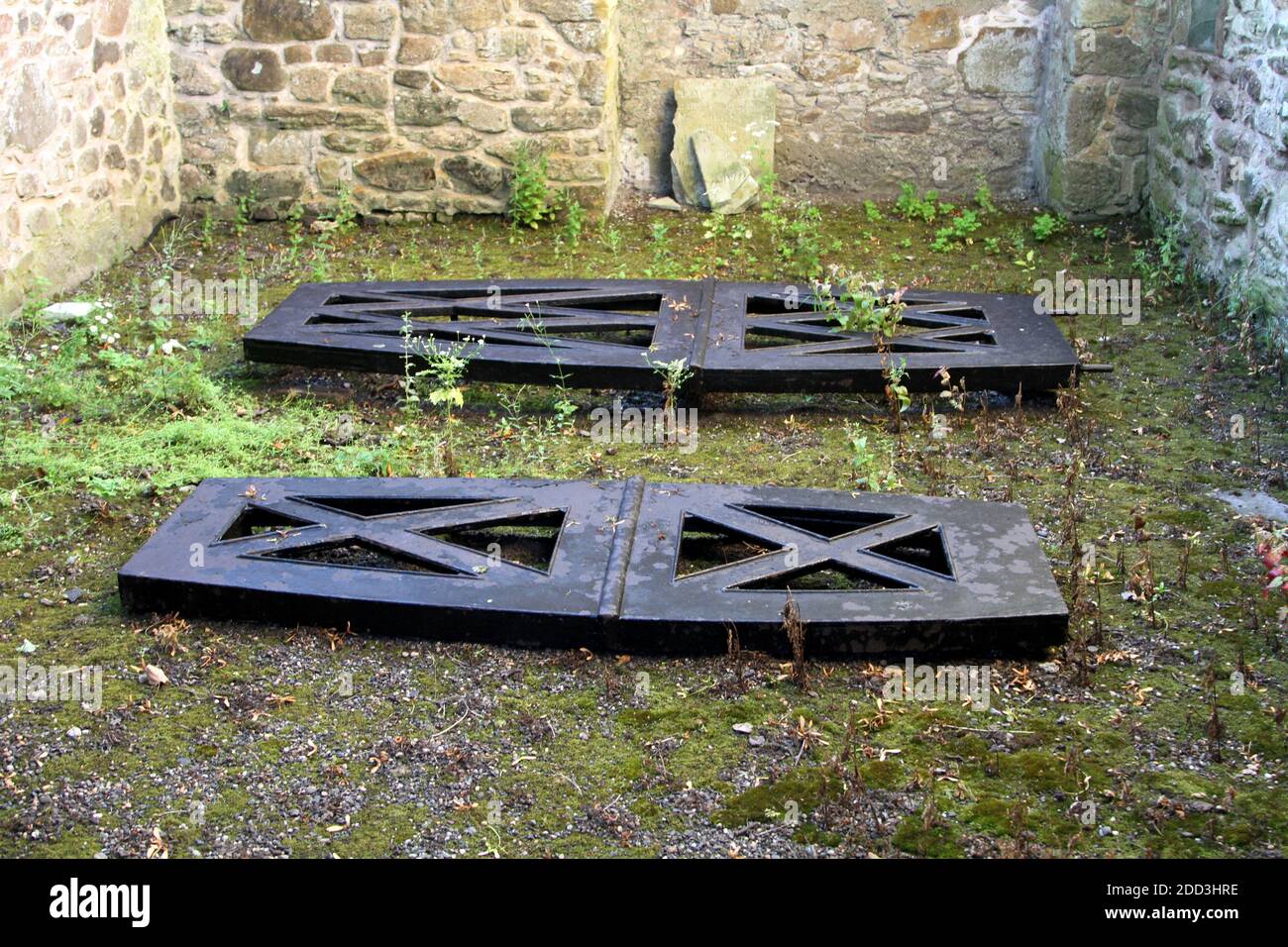 Auld Kirk, Alloway, Ayrshire, Scozia. Il Alloway Auld Kirk, che risale al XVI secolo, è una rovina di Alloway, nell'Ayrshire meridionale, Scozia, celebrata come scena della danza delle streghe nel poema 'Tam o' Shanter' di Robert Burns. Foto mostra UNA Mortsafe, o Mort Safe, era una bara di ferro o una struttura che proteggeva una tomba per impedire che il corpo fosse scavato e portato via per la ricerca medica. ... Questo pesante telaio di ferro è stato sepolto con la bara e poi rimosso quando il corpo era caduto abbastanza per essere di nessun valore. Foto Stock