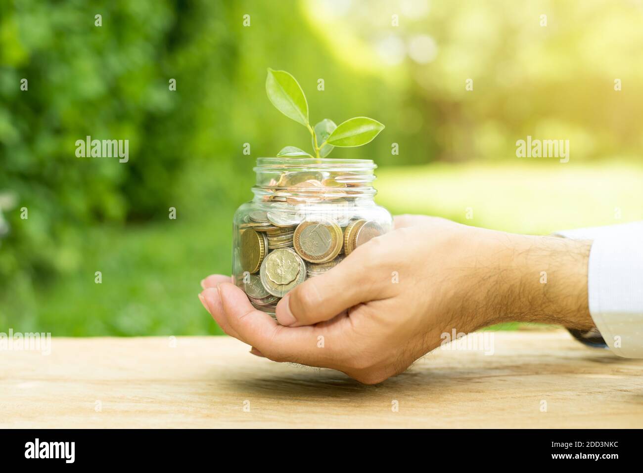 Pianta che cresce da soldi (monete) nel vaso di vetro tenuto da un uomo - metafora commerciale e finanziaria Foto Stock