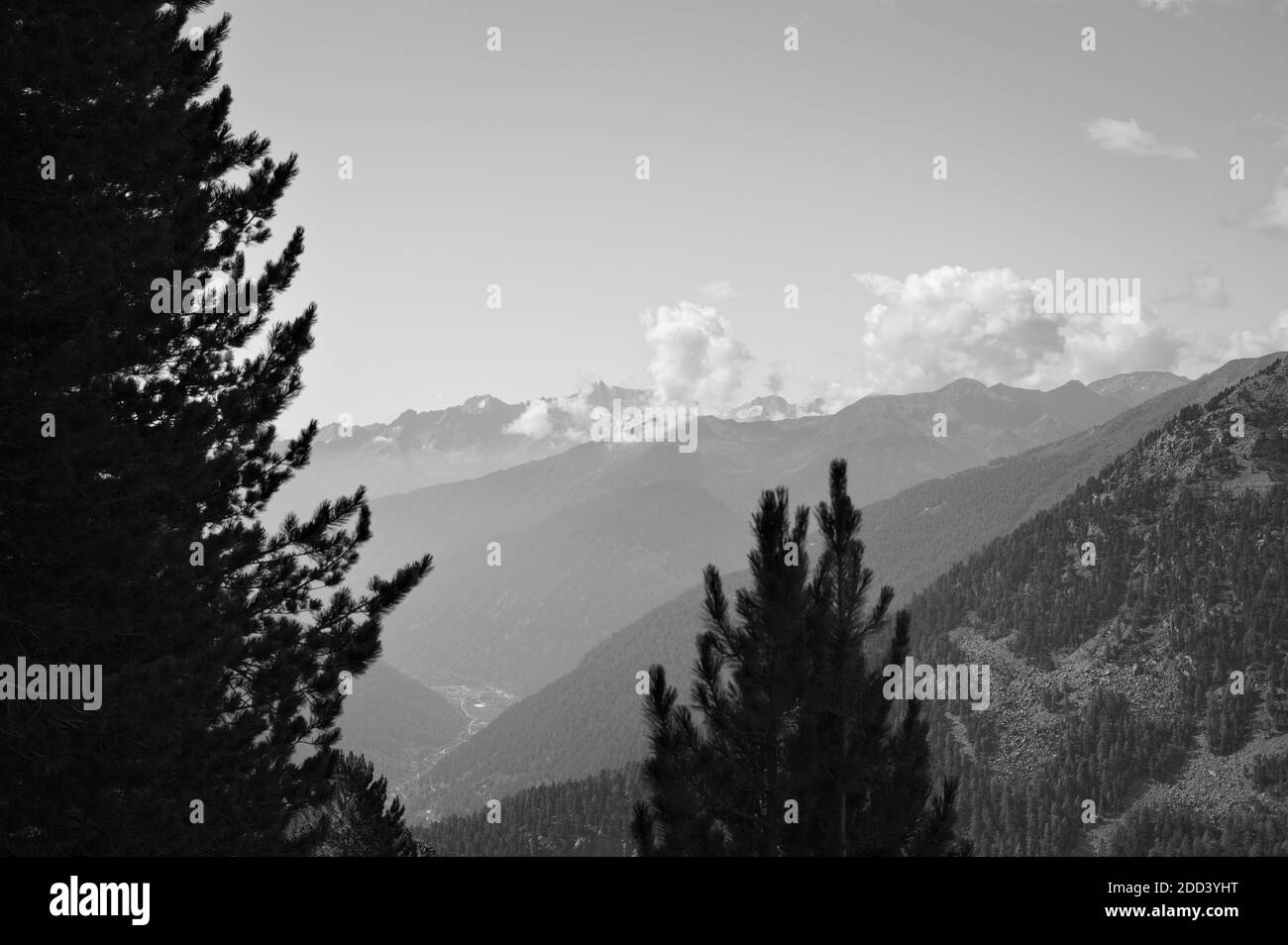 Un panorama alpino con montagne e nuvole viste da una foresta di conifere in una giornata estiva soleggiata (Alpi, Trentino, Italia, Europa) Foto Stock