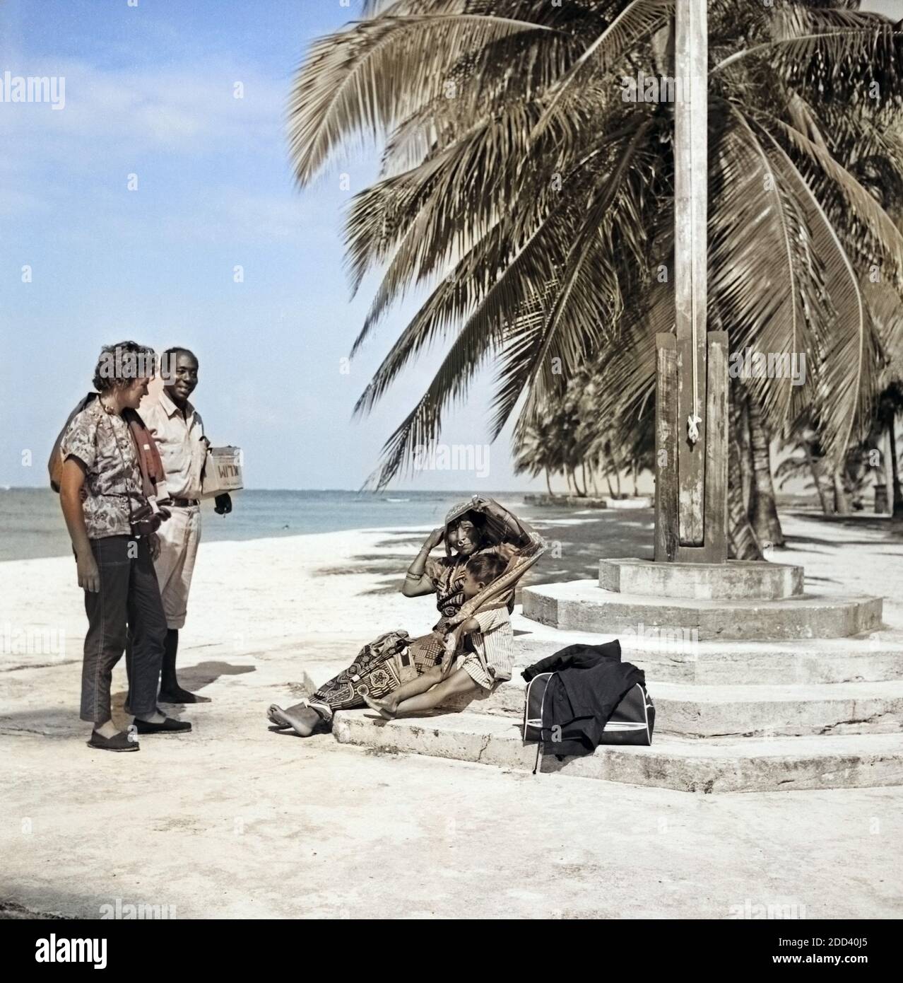 Kokospalmen auf dem San Blas Archipel, Karibik 1957. Palme di cocco a San Blas arcipelago, CARAIBI 1957. Foto Stock